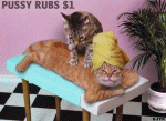 1-dollar-pussy-rubs_2.gif
