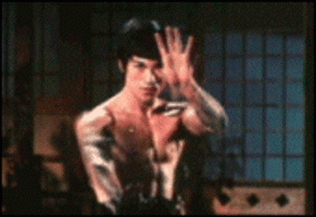 bruce lee practice