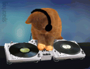 cool cat dj