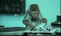 dj monkeyman