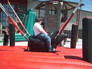 fake-bull-rider.gif