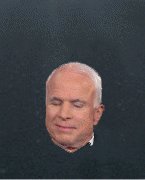 mccain head