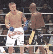 mma.gif