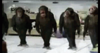 monkey dance