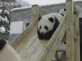 panda slide