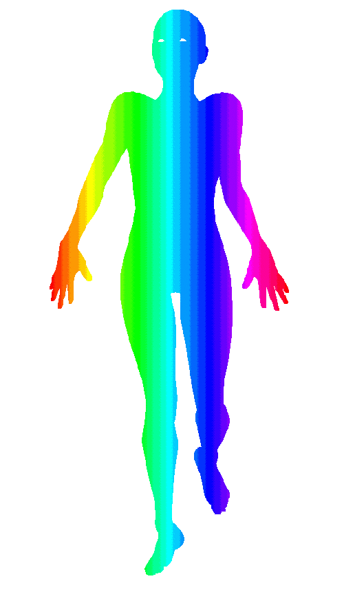 rainbow walking animated