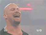 steve austin