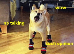 doge such opinon