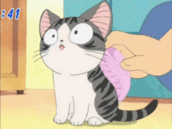 keep stroking anime cat