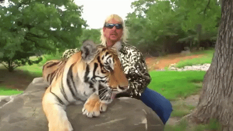 tiger king with tiger