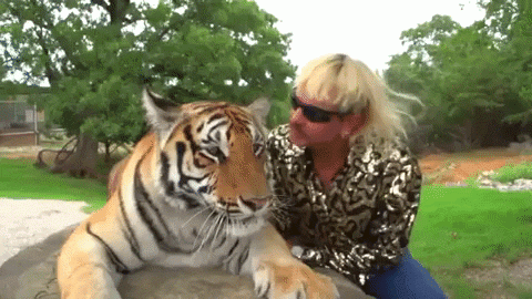 tinger king kissing tiger