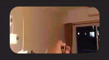 gif01.gif